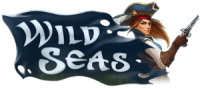 This image has an empty alt attribute; its file name is Wild-Seas-1.png