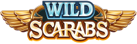 This image has an empty alt attribute; its file name is WildScarabs.png