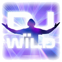 dj wild slot