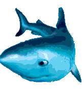 great blue slot shark symbol