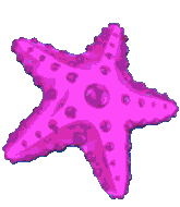 great blue slot pink starfish symbol