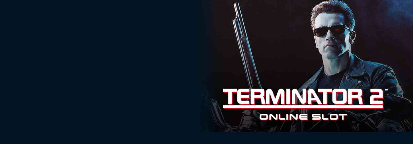 terminator 2 slot game