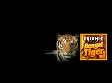 untamed bengal tiger slot mobile