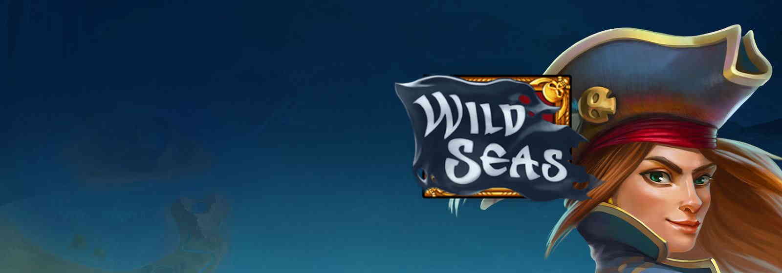 wild seas slot